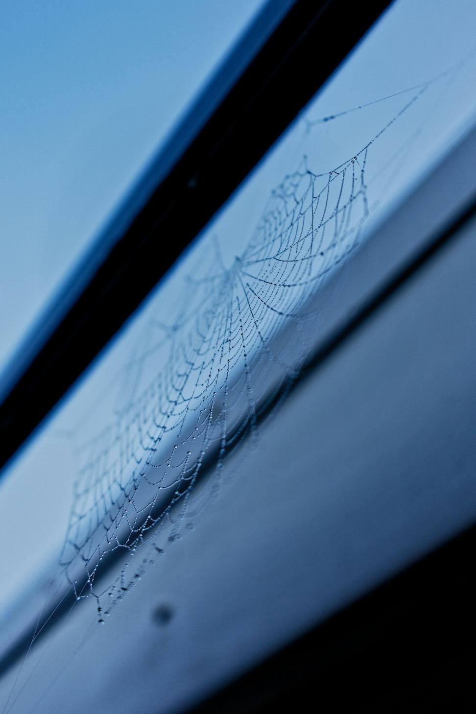 Car windows before tinting