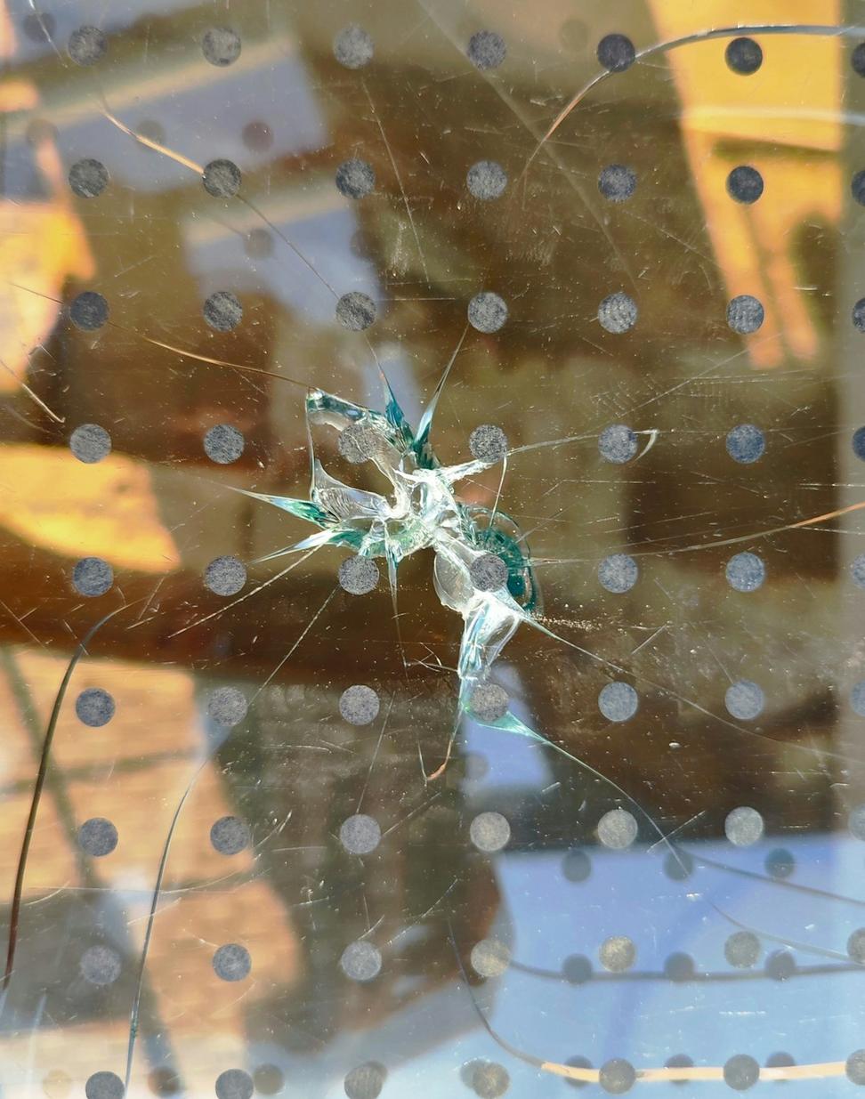 Windshield before repair